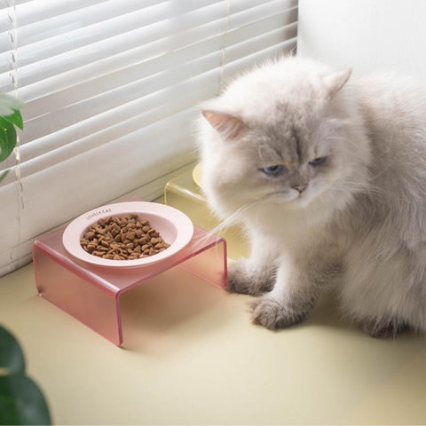 Acrylic Pet Bowl