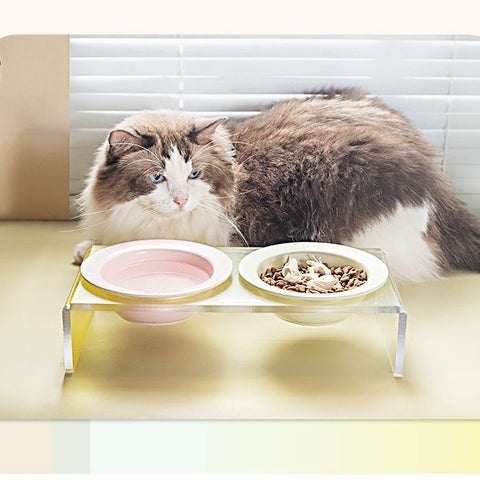 Acrylic Pet Bowl